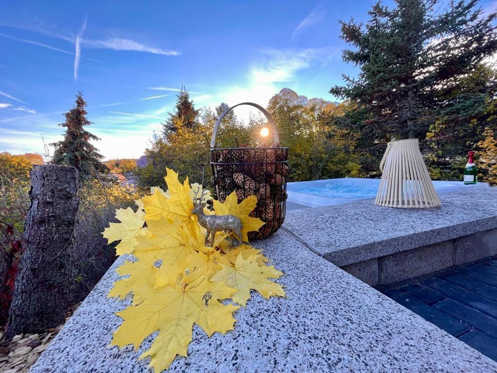 Ferienhaus Harzblick Meisdorf エクステリア 写真