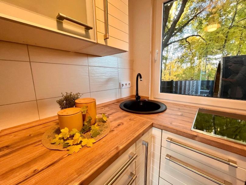 Ferienhaus Harzblick Meisdorf エクステリア 写真